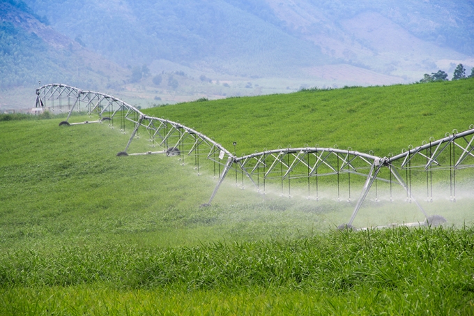 Hệ thống tưới nước hiện đại tại c&aacute;nh đồng Trang trại b&ograve; sữa TH.
