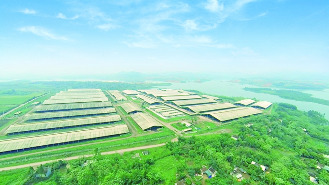 To&agrave;n cảnh Trang trại b&ograve; sữa TH.