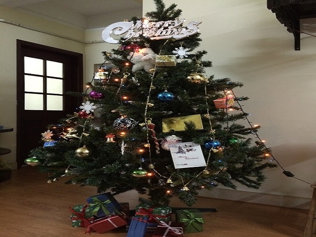 Một c&acirc;y th&ocirc;ng xanh bao gồm đồ trang tr&iacute;, được đặt trong nh&agrave; c&oacute; gi&aacute; khoảng 2 triệu đồng