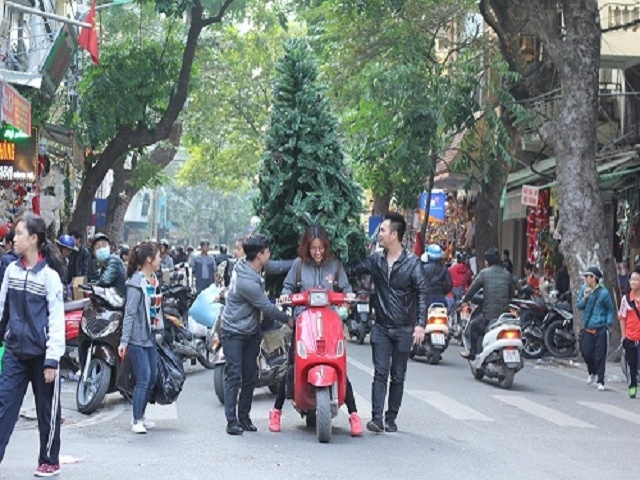 Nhiều c&acirc;y th&ocirc;ng c&oacute; k&iacute;ch cỡ lớn thường được đặt ở sảnh c&aacute;c c&ocirc;ng ty, t&ograve;a nh&agrave;&nbsp;