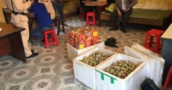 Nghệ An: Bắt giữ gần 100kg pháo lậu trên xe khách