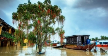 Ngỡ ngàng vẻ đẹp của Hội An "mùa nước lũ"