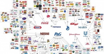 Chi tiết danh sách Thương hiệu quốc gia năm 2016