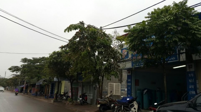 Khu đất thực hiện dự &aacute;n.