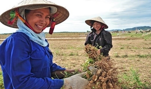 “Kéo” phụ nữ nông thôn vượt qua khoảng trống của chính sách thai sản