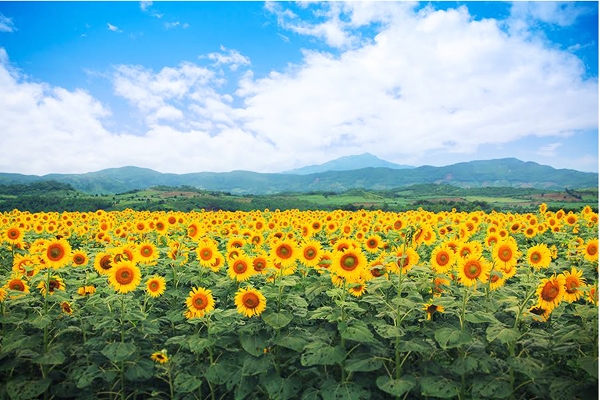 Giải thưởng &ldquo;Ng&acirc;n h&agrave;ng dẫn đầu về tr&aacute;ch nhiệm x&atilde; hội Việt Nam 2016&rdquo; thuộc về Bắc &Aacute;