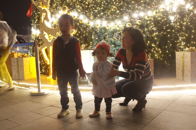 Nhiều gia đ&igrave;nh cũng cho c&aacute;c ch&aacute;u đến ngắm nh&igrave;n v&agrave; chụp ảnh.