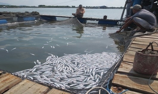 Bản án hợp lòng dân