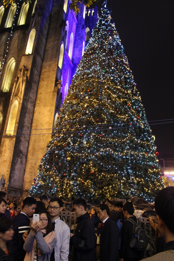 C&acirc;y th&ocirc;ng Noel được trang tr&iacute; lộng lẫy l&agrave; một địa điểm l&yacute; tưởng để chụp ảnh (Ảnh Văn Lịnh).