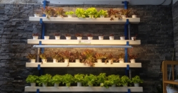 Kỳ 4 - Kết nối tri thức Việt cùng phát triển dòng thực phẩm sạch