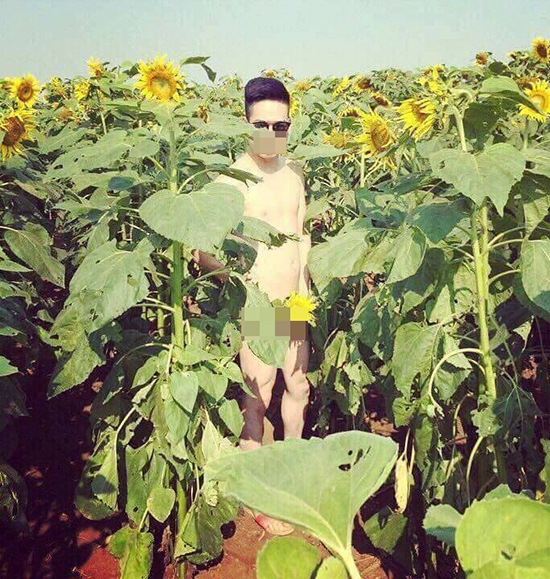 H&igrave;nh ảnh nam thanh ni&ecirc;n trong t&igrave;nh trạng khỏa th&acirc;n ho&agrave;n to&agrave;n đứng tạo d&aacute;ng chụp ảnh ở c&aacute;nh đồng hoa hướng dương. (Ảnh: Facebook).