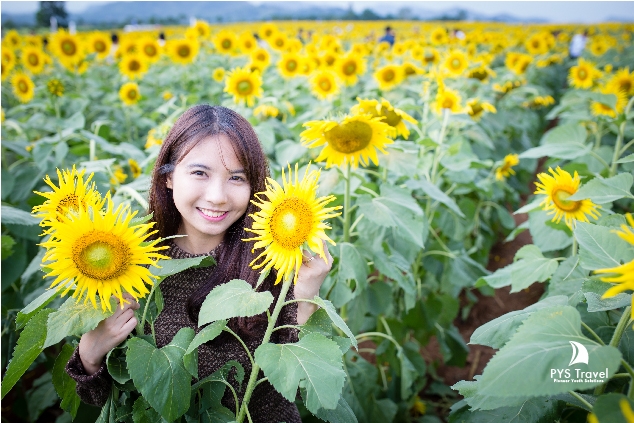 (Ảnh: Pystravel.vn).