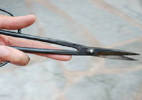 H&igrave;nh minh họa.