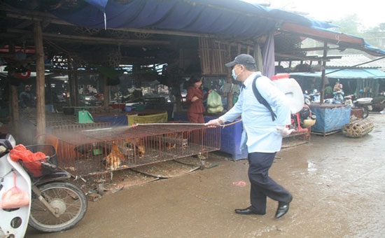 Triển khai c&aacute;c biện ph&aacute;p ph&ograve;ng chống dịch c&uacute;m gia cầm. Ảnh: minh họa