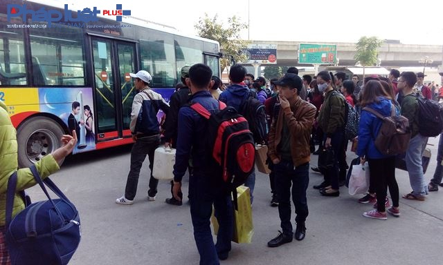 Nhiều nh&agrave; xe