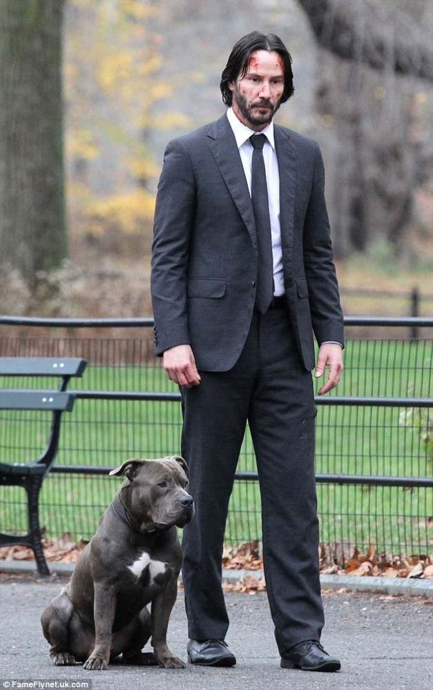 Chuyện phim xoay quanh những quy luật, quan hệ phức tạp giữa &ocirc;ng tr&ugrave;m x&atilde; hội đen v&agrave; tay s&aacute;t thủ chuy&ecirc;n nghiệp, người đ&atilde; gi&uacute;p hắn tạo n&ecirc;n đế chế hắc &aacute;m của m&igrave;nh.