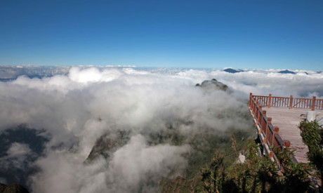 Ở cao độ 2.800m, những đ&aacute;m m&acirc;y l&ugrave;a qua rừng tr&uacute;c.