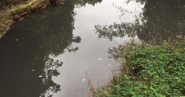 Dân phát hoảng khi thấy nước thải đen ngòm từ nhà máy gỗ đổ tràn ra suối