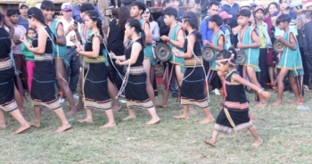 Đến chân núi lửa Chư Đang Ya ngắm dã quỳ nở vàng rực rỡ