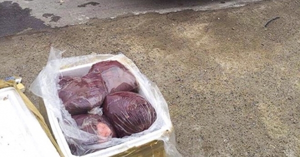 Quảng Bình: Bắt giữ hơn 1 tấn nội tạng bẩn định tiêu thụ đi nước ngoài
