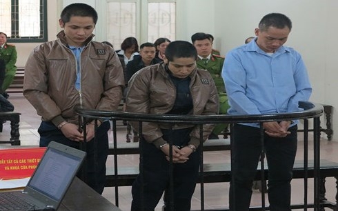 Con nghé quật gãy cây đu đủ, ba anh em ruột dẫn nhau vào tù