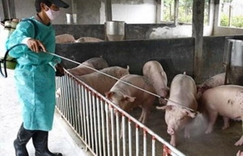 Cấp vắc xin, giống cây trồng hỗ trợ các địa phương