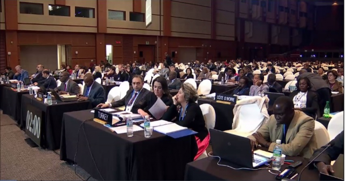 C&aacute;c đại biểu tại Phi&ecirc;n họp 12