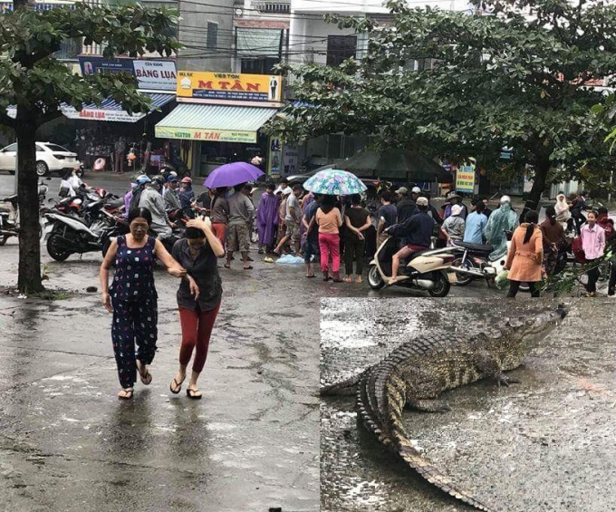 Người d&acirc;n sống quanh khu vực chợ T&uacute;y Loan t&ograve; m&ograve; khi thấy ch&uacute; c&aacute; sấu (ảnh nhỏ) vẫn c&ograve;n sống bị bịt chặt miệng được b&aacute;n trong chợ.&nbsp;