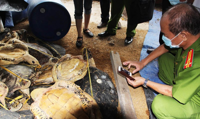 Cơ quan điều tra kh&aacute;m nghiệm hiện trường vụ t&agrave;ng trữ x&aacute;c r&ugrave;a biển. (Ảnh: b&aacute;o Ph&aacute;p luật TP HCM)