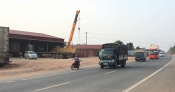 Vụ phá hộ lan mở đường QL1: Có hay không có việc bảo kê cho hành vi phá hoại tài sản Quốc gia?