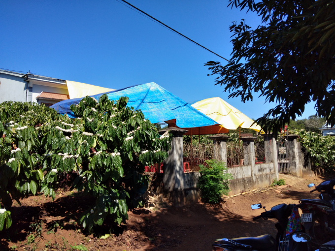 Gia đ&igrave;nh đang tổ chức tang lễ cho nạn nh&acirc;n.