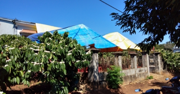 Gia Lai: Đi sinh nhật bạn, một học sinh bị đâm tử vong