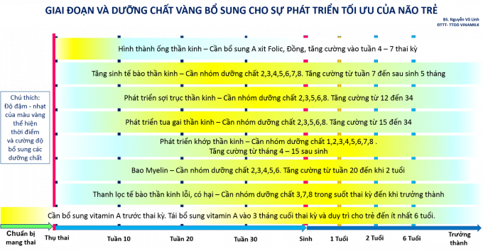 Bảng bổ sung dinh dưỡng cần thiết trong c&aacute;c giai đoạn của trẻ.