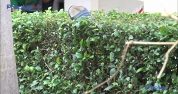 Bé trai tử vong do ngã từ độ cao 2m tại Bệnh viện đa khoa Bình Dương