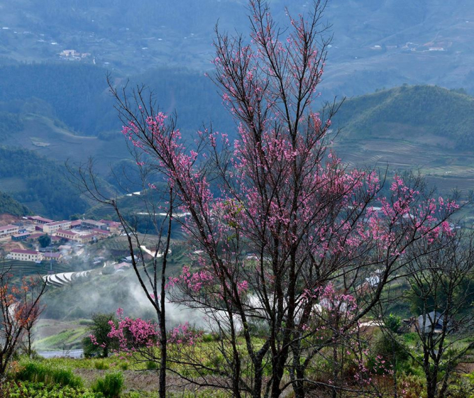 Những ng&agrave;y n&agrave;y đến La P&aacute;n Tẩn, ngắm hoa Tớ D&agrave;y, trải nghiệm c&aacute;i lạnh của n&uacute;i rừng T&acirc;y Bắc, đắm ch&igrave;m trong những l&agrave;n sương m&ugrave;, nghe tiếng kh&egrave;n l&aacute;, kh&egrave;n m&ocirc;i du dương th&igrave; kh&ocirc;ng c&ograve;n g&igrave; tuyệt vời hơn.