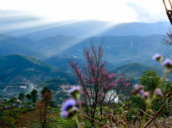 &nbsp;Người M&ocirc;ng thường c&oacute; c&acirc;u