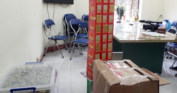 Lào Cai: Bắt giữ 267 kg pháo lậu gần biên giới