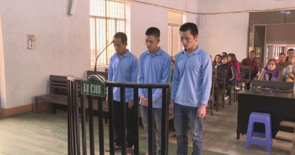 Đắk Lắk: Tuyên án kẻ dùng kìm thủy lực cắt khóa trộm 1,8 tỷ đồng