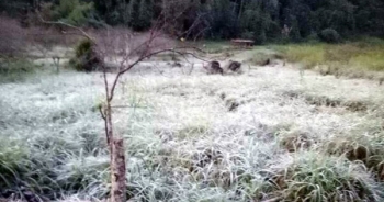 Băng giá kỳ thú, bất ngờ tại miền Tây xứ Nghệ