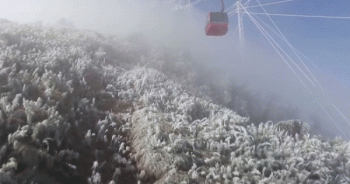 Clip: Toàn cảnh tuyết phủ trắng Fansipan đẹp như cổ tích khiến dân mạng xôn xao