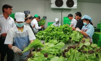 Hà Nội phát hiện hàng loạt mẫu thực phẩm được công nhận là 