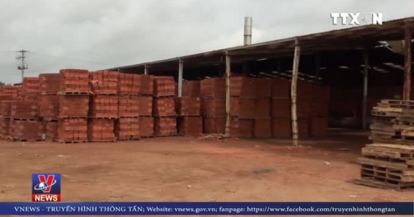 Lò gạch Hoffman vẫn tiếp tục mọc lên ở Bình Phước