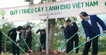 Hành trình về nguồn của Vinamilk và quỹ một triệu cây xanh tại tỉnh Cao Bằng