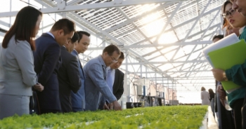 FLC - Farmdo bắt tay làm nông nghiệp và duyên cầu nối từ vị Đại sứ