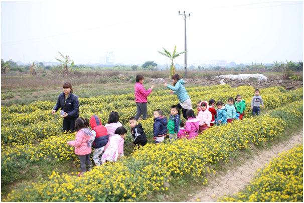 C&aacute;c em nhỏ ở một trường mầm non gần đ&oacute; đến tham quan, vui chơi tr&ecirc;n c&aacute;nh đồng hoa c&uacute;c chi.
