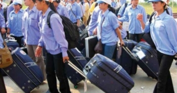 Xử phạt hơn 500 triệu đồng với 4 công ty xuất khẩu lao động
