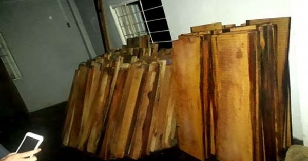 Phát hiện gỗ lậu của lãnh đạo Công ty thủy điện Sông Tranh 3