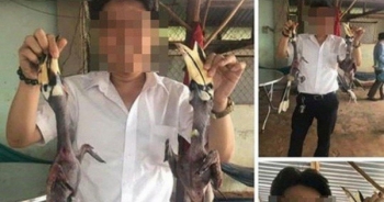 Kết luận của cơ quan chức năng Giám đốc Vườn quốc gia Bù Gia Mập khoe ảnh chim quý lên Facebook