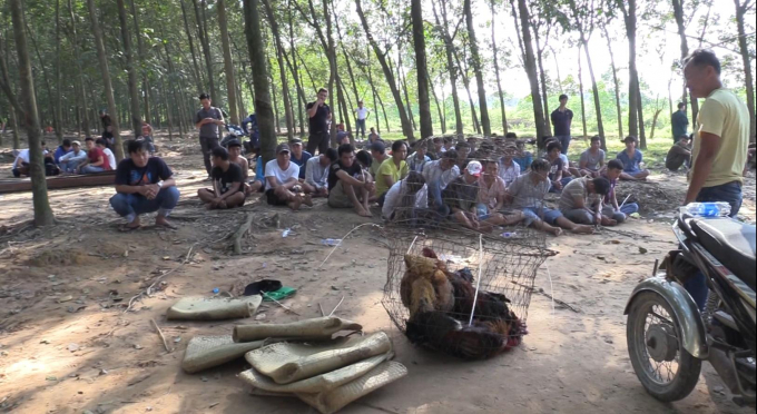 Cơ quan c&ocirc;ng an thu giữ 12 con g&agrave; đ&aacute; c&ugrave;ng hơn 400 triệu đồng v&agrave; nhiều tang vật kh&aacute;c