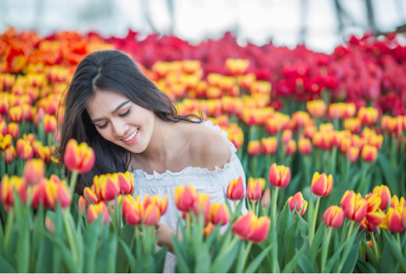 Festive Wonderland &ndash; Lễ hội thần ti&ecirc;n tại xứ sở Vinpearl Land